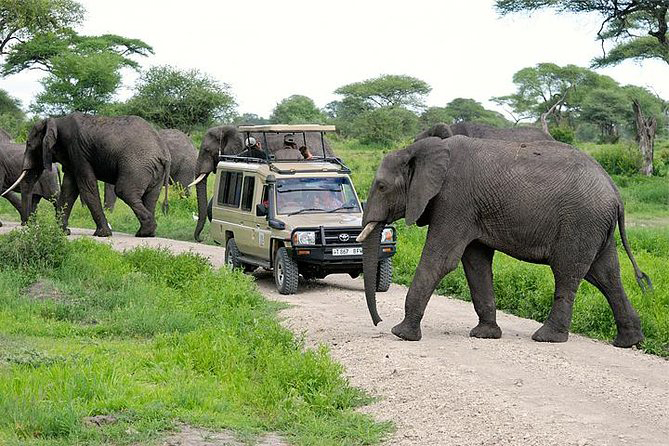 Tanzania Mid-Range Safari
