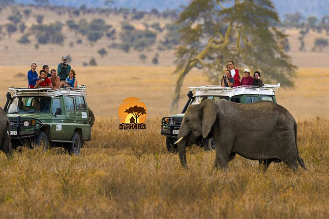 Tanzania Camping Safari
